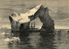 Gigantic Iceberg seen by the Arctic ships. Polar Regions 1875 old print