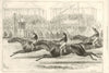 Epsom Derby finish. Silvio Fred Archer Mathew Dawson 6th Viscount Falmouth 1877