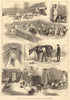 The royal buckhounds: Sketches of the kennels at Ascot. Berkshire. Dogs 1880