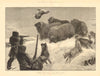 Shooting Musk Oxen in the Arctic Regions 1881 old antique print picture