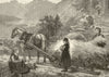 Hay Harvest in Norway 1881 old antique vintage print picture