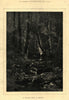 A place for a Picnic. Landscapes. Fine arts 1881 old antique print picture