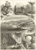 Menton. Olive trees. English Church. Villefranche. Alpes-Maritimes 1882 print