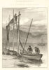 Our fishing Industries. Herring boats on Loch Fyne. Scotland 1883 old print