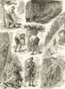Wood cutting in the forests of Austria & Bavaria 1884 old antique print