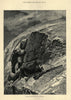Big horn stalking in the Rocky Mountains. USA. Hunting 1884 old antique print