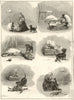 A domestic tragedy. Children. Dog parrot doll girl 1884 old antique print