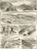Alaska: Ungar Pryvloff Islands Seals St. Paul's Unalaska Fur-trading Co 1884