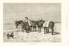 Waiting for customers. Donkeys. Fine arts 1885 old antique print picture