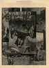 Hunting the badger at Stanford Hall, Warwickshire. Leicestershire 1885 print