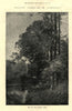 Longleat: End of the Lower Lake. Wiltshire 1887 old antique print picture