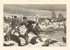 Seal-hunting in the Arctic regions. Pinnipeds. Clubbing 1887 old antique print