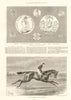 New coinage & Jubilee medal. Florin Shilling. Merry Hampton, Derby winner 1887