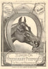 St. Jacobs Oil for Veterinary Purposes in yellow wrappers. Horse. Advert 1888