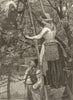 Cherry-picking for the London market. Farming. Fruit ladders 1889 old print