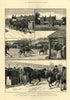 Walter Gilbey's stud of shire horses at Elsenham Hall, Essex. Lord Brooke 1889