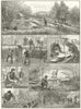 Fish breeding: A Surrey Trout farm. Andrews Hind head Haslemere Guildford 1890