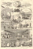 Hedges & Butler wine cellars Regent Street London Champagne Burgundy Brandy 1890