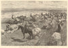 Canadian north-west farming: reaping the harvest in Manitoba 1891 old print