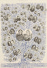 Victoria Regina 1837-1893. The Royal Oak: The Duke of York's pedigree 1893