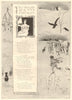 The ballad of a portrait. Romance. Fine arts 1897 old antique print picture