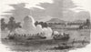 CHINA. Chinese Galley v HMS Amethyst. Canton Guangdong river. Opium wars 1858