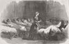 USKUDAR. Florence Nightingale, in the Hospital. Medical 1855 old antique print