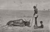 INDIAN FAMINE 1876-78. Bellary District, Madras (Chennai) Presidency 1877
