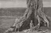 INDIA. Great Famine 1876-78. Forsaken 1877 old antique vintage print picture