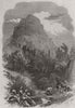 SOUTH AFRICA. The Lion's Head Mountain, near Cape Town, Cape of Good Hope 1868