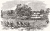 TORQUAY. Grand field-day of the Rifle Corps. Devon 1855 old antique print