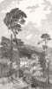 SCOTLAND. Birkhall 1850 old antique vintage print picture