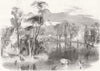 KEW GARDENS. The New Lake. London 1860 old antique vintage print picture