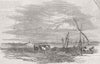 FOUNTAINS. view of Payana; Roadside Fountain 1854 old antique print picture