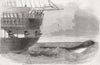 ANIMALS. Sea-Serpent passing below Daedalus 1848 old antique print picture
