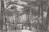 FRANCE. Resin Gathering, Pine Forests of Landes 1866 old antique print picture