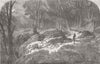 AUSTRALIA. Geological Wonder of New South Wales 1854 old antique print picture