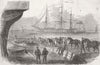 LONDON. Shipping horses, Royal Dockyard, Woolwich 1855 old antique print
