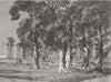 EGYPT. Giza c1863 old antique vintage print picture