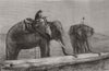 BURMA.Elephants hauling timber in Burmah Myanmar 1874 old antique print