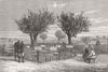 SOUTH AFRICA. Xhosa War. 99th Regt graves, Ft Pearson 1879 old antique print