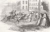 EGYPT. Donkey Bases in Alexandria 1855 old antique vintage print picture