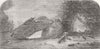 LONDON. London Zoo. Fresh-Water Fish, aquarium 1853 old antique print picture