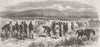 NEW ZEALAND. Wm Thompson surrender, Brig-Gen Carey 1865 old antique print