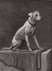 1882 old antique vintage print picture