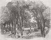 FRANCE. Château de St-Cloud. Terrace & Cascade, Gdns 1855 old antique print