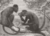 MONKEYS. Red howling(Mycetes Ursinus), zoo 1863 old antique print picture