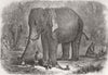 INDIA. Elephant taking care of children 1863 old antique vintage print picture