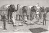 AFGHANISTAN. Elephants, mess, Safaed Sung 1879 old antique print picture