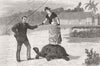 SRI LANKA. Ceylon-Giant Tortoise 1879 old antique vintage print picture